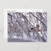 Briefkaart Castle Snowy Trees in Luzerne Zwitserla (Voorkant / Achterkant)