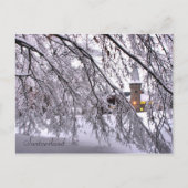 Briefkaart Castle Snowy Trees in Luzerne Zwitserla (Voorkant)