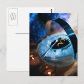 BRIEFKAART CAVIAR OP ICE (Voorkant / Achterkant)