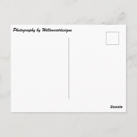 briefkaart "Caymaneilanden Sunset" (Achterkant)