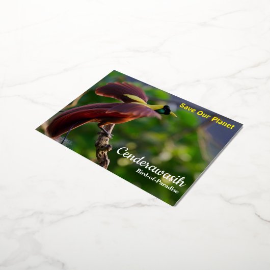 Briefkaart Cenderawasih (Gedraaid)