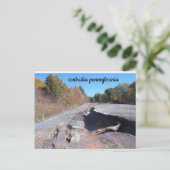 briefkaart centrale weg pennsylvania graffiti (Staand voorkant)