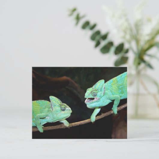 Briefkaart Chameleon (Staand voorkant)