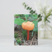 Briefkaart champignonfeestdag (Staand voorkant)
