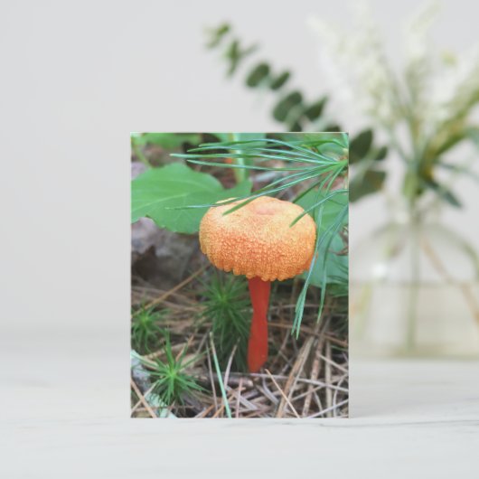 Briefkaart champignonfeestdag (Staand voorkant)