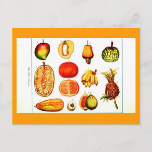Briefkaart-chemicaliën-geel en Oranje fruit Briefkaart