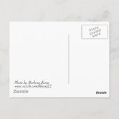 Briefkaart Cherry Tree (Achterkant)