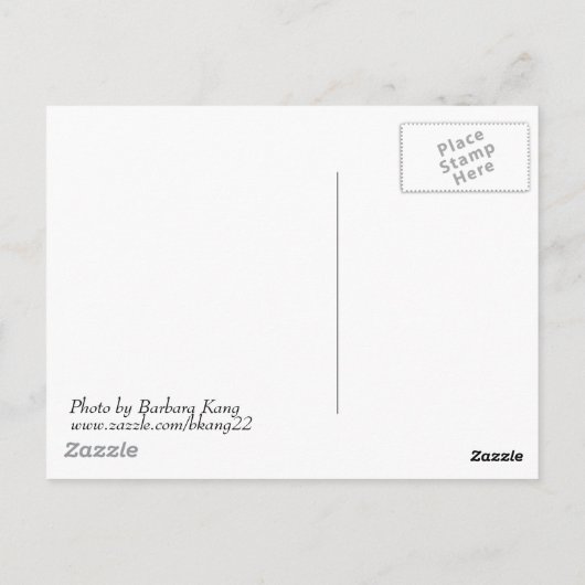 Briefkaart Cherry Tree (Achterkant)