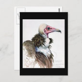 Briefkaart- Chicago Art-Abyssiniaanse vogels 10 Briefkaart (Voorkant / Achterkant)