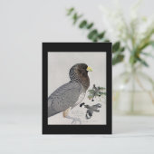 Briefkaart- Chicago Art-Abyssiniaanse vogels 14 Briefkaart (Staand voorkant)