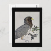 Briefkaart- Chicago Art-Abyssiniaanse vogels 14 Briefkaart (Voorkant / Achterkant)