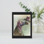 Briefkaart- Chicago Art-Abyssiniaanse vogels 15 Briefkaart (Staand voorkant)