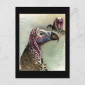 Briefkaart- Chicago Art-Abyssiniaanse vogels 15 Briefkaart (Voorkant)