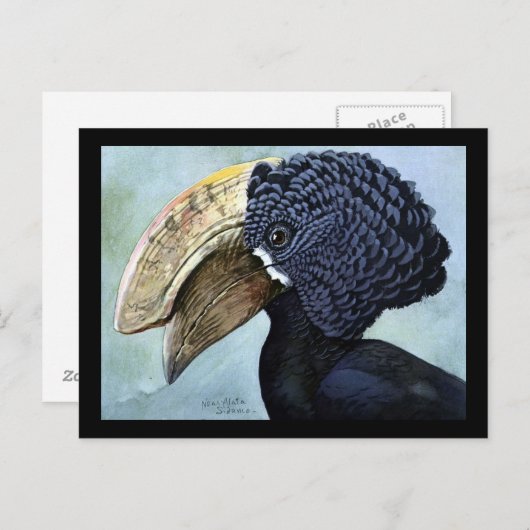 Briefkaart- Chicago Art-Abyssiniaanse vogels 16 Briefkaart (Voorkant / Achterkant)