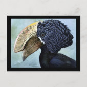 Briefkaart- Chicago Art-Abyssiniaanse vogels 16 Briefkaart (Voorkant)