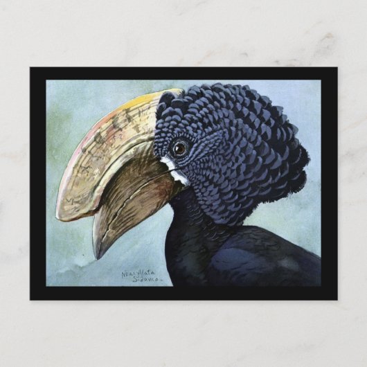 Briefkaart- Chicago Art-Abyssiniaanse vogels 16 Briefkaart (Voorkant)