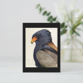 Briefkaart- Chicago Art-Abyssiniaanse vogels 18 Briefkaart (Staand voorkant)