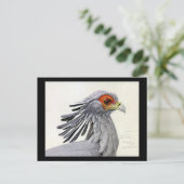 Briefkaart- Chicago Art-Abyssiniaanse vogels 19 Briefkaart (Staand voorkant)