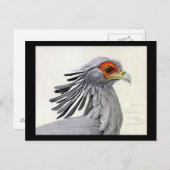 Briefkaart- Chicago Art-Abyssiniaanse vogels 19 Briefkaart (Voorkant / Achterkant)