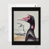 Briefkaart- Chicago Art-Abyssiniaanse vogels 20 Briefkaart (Voorkant / Achterkant)