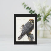 Briefkaart- Chicago Art-Abyssiniaanse vogels 2 Briefkaart (Staand voorkant)