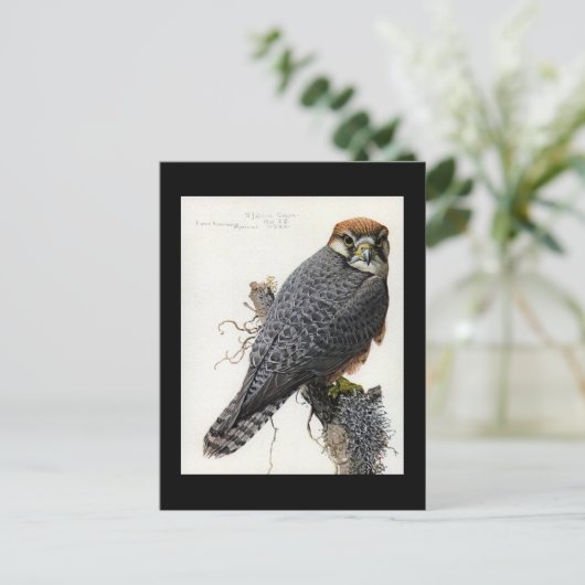 Briefkaart- Chicago Art-Abyssiniaanse vogels 2 Briefkaart (Staand voorkant)