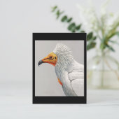 Briefkaart- Chicago Art-Abyssiniaanse vogels 3 Briefkaart (Staand voorkant)