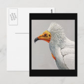 Briefkaart- Chicago Art-Abyssiniaanse vogels 3 Briefkaart (Voorkant / Achterkant)