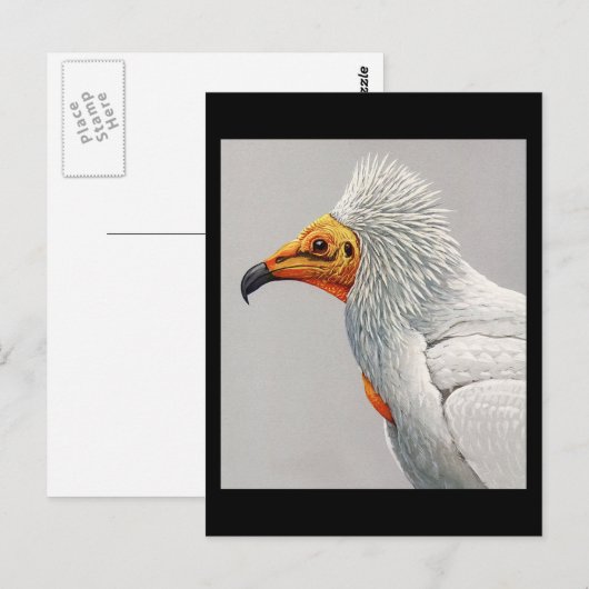 Briefkaart- Chicago Art-Abyssiniaanse vogels 3 Briefkaart (Voorkant / Achterkant)