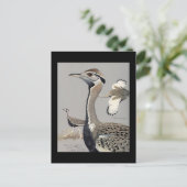 Briefkaart- Chicago Art-Abyssiniaanse vogels 4 Briefkaart (Staand voorkant)