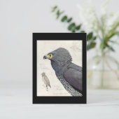 Briefkaart- Chicago Art-Abyssiniaanse vogels 6 Briefkaart (Staand voorkant)