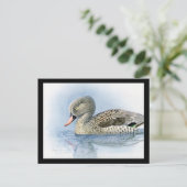 Briefkaart- Chicago Art-Abyssiniaanse vogels 7 Briefkaart (Staand voorkant)