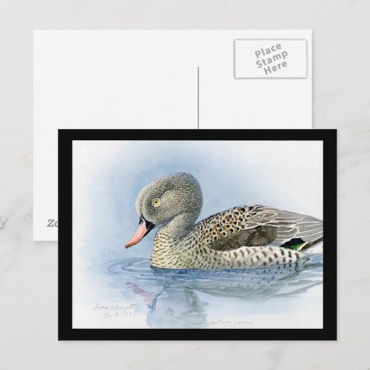 Briefkaart- Chicago Art-Abyssiniaanse vogels 7 Briefkaart (Voorkant / Achterkant)