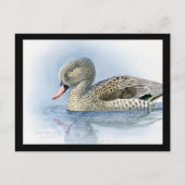 Briefkaart- Chicago Art-Abyssiniaanse vogels 7 Briefkaart (Voorkant)