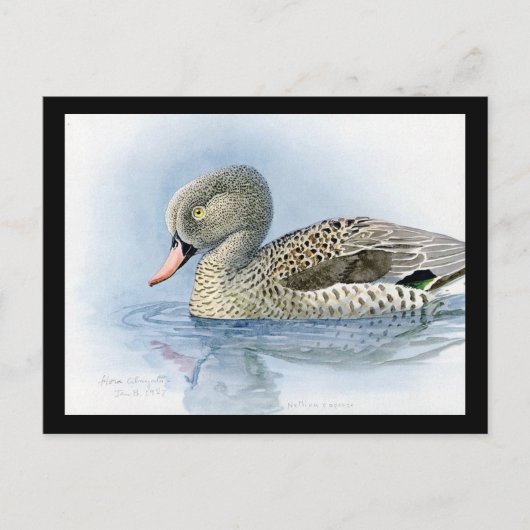 Briefkaart- Chicago Art-Abyssiniaanse vogels 7 Briefkaart (Voorkant)