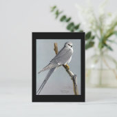 Briefkaart- Chicago Art-Abyssiniaanse vogels 8 Briefkaart (Staand voorkant)