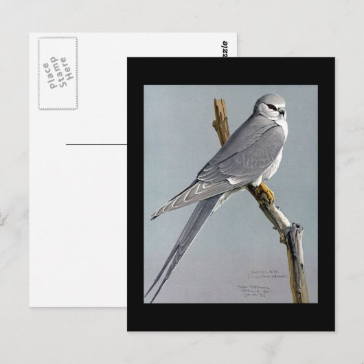 Briefkaart- Chicago Art-Abyssiniaanse vogels 8 Briefkaart (Voorkant / Achterkant)