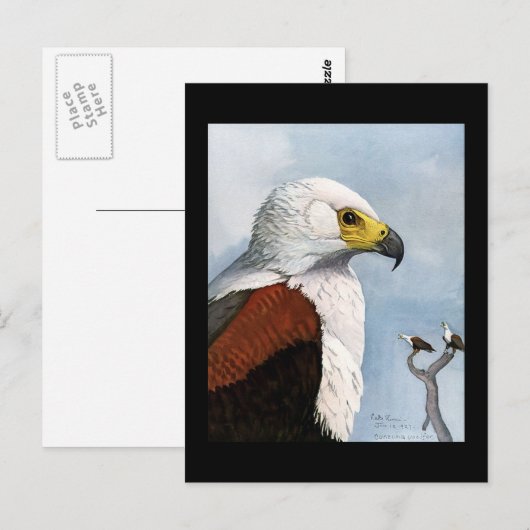 Briefkaart- Chicago Art-Abyssiniaanse vogels 9 Briefkaart (Voorkant / Achterkant)