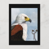 Briefkaart- Chicago Art-Abyssiniaanse vogels 9 Briefkaart (Voorkant)