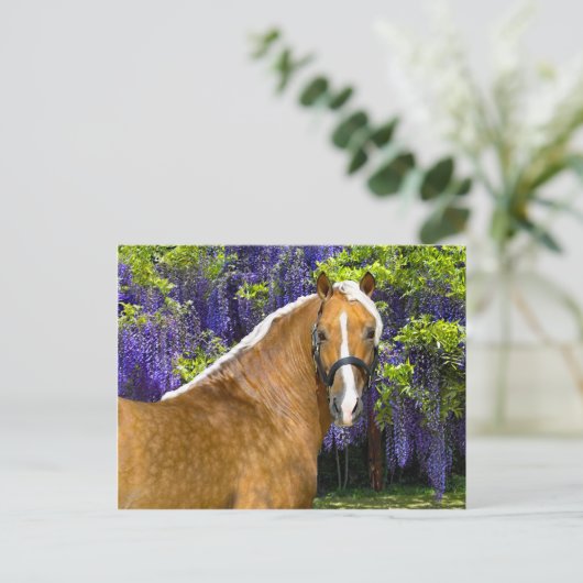 briefkaart "Chieftain" (Staand voorkant)