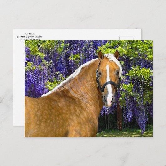 briefkaart "Chieftain" (Voorkant / Achterkant)