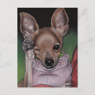Briefkaart Chihuahua