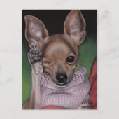 Briefkaart Chihuahua (Voorkant)
