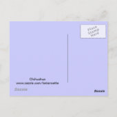 Briefkaart Chihuahua (Achterkant)