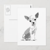 Briefkaart Chihuahua (Voorkant / Achterkant)