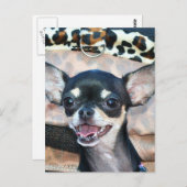 Briefkaart Chihuahua (Voorkant / Achterkant)