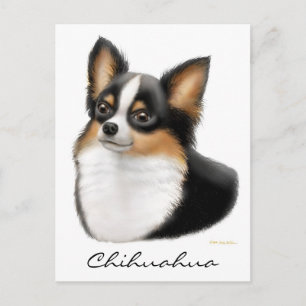 Briefkaart Chihuahua