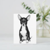 Briefkaart Chihuahua (Staand voorkant)