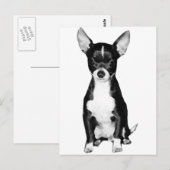 Briefkaart Chihuahua (Voorkant / Achterkant)