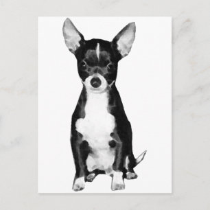 Briefkaart Chihuahua